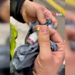 Edirne Sınır Kapısı’nda Şok: 119 Şişe Botoks Ele Geçirildi