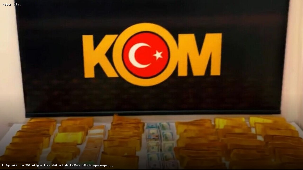 Şırnak’ta 590 Milyon Liralık Kaçak Döviz Operasyonu: 4 Tutuklu