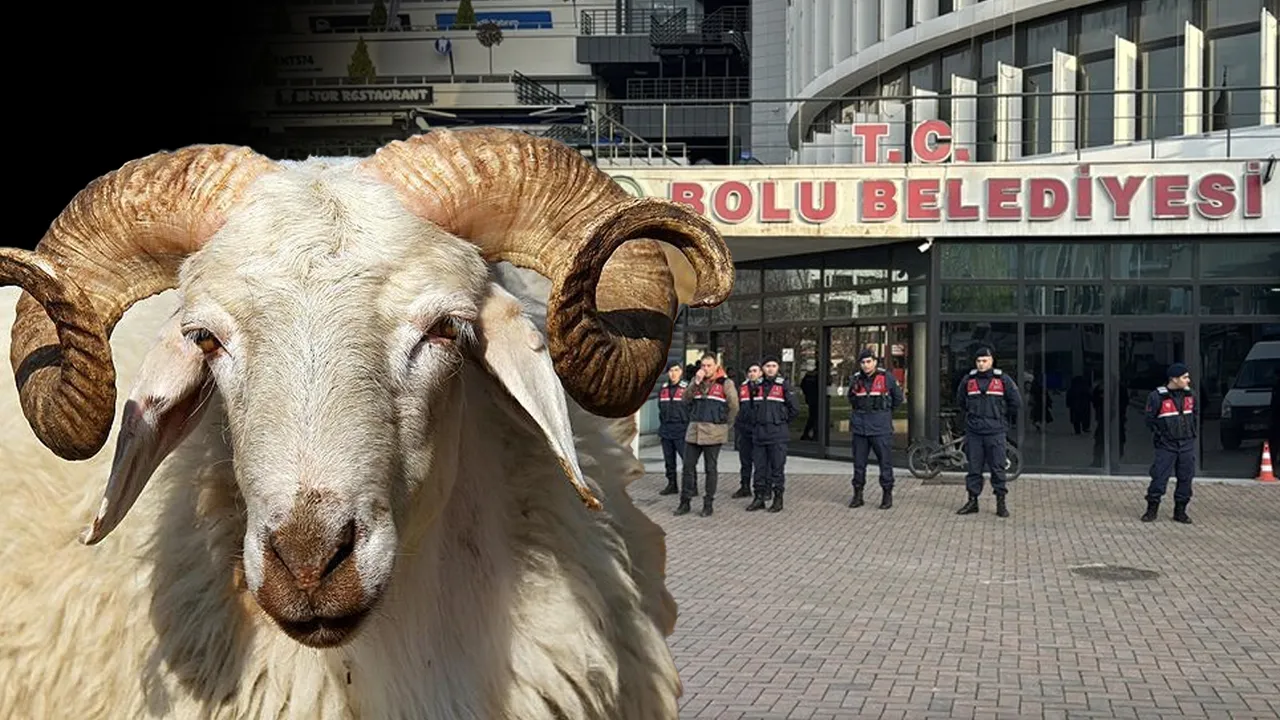 Bolu Belediyesi’nde Kurban Skandalı: İki Tutuklama