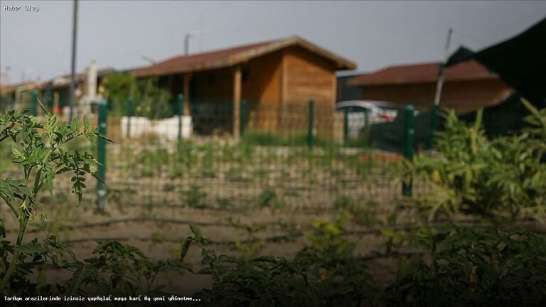 Tarım Arazilerinde İzinsiz Yapılaşmaya Yeni Yönetmelik