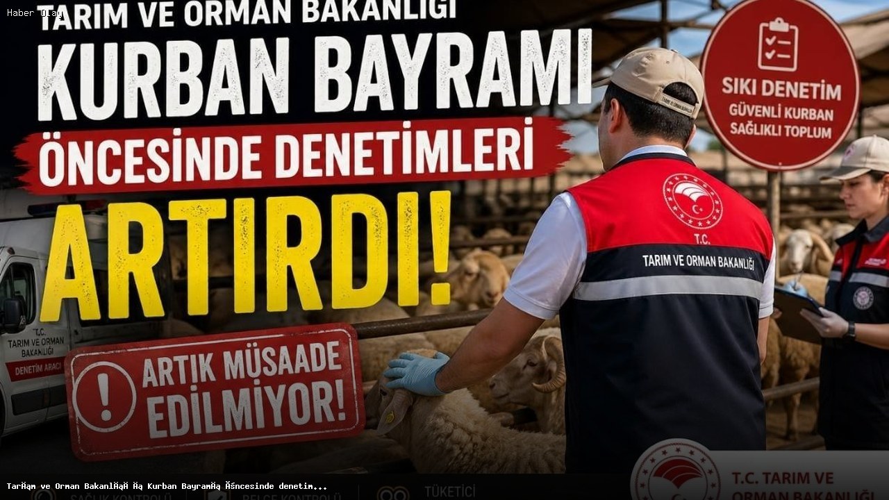 Kurban Bayramı Öncesi Hayvan Denetimleri Neden Artıyor?