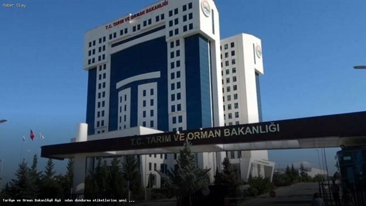 Dondurma Etiiketlerine Yapılan Yeni Düzenleme Neleri Kapsıyor?