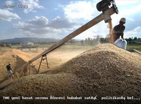 TMO, 2023 Hasat Sezonu Öncesi Hububat Satış Politikasını Açıkladı