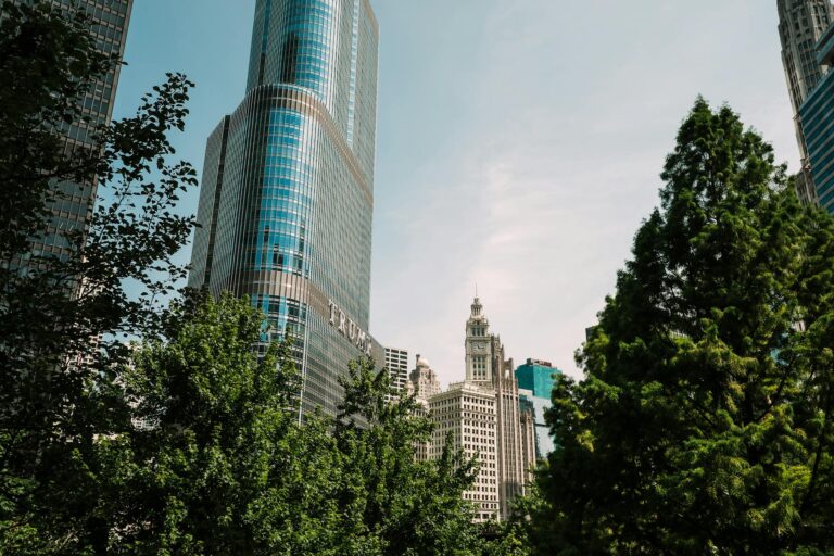 Trump’ın Siyasi Stratejileri: 2024 Seçimlerine Hazırlık