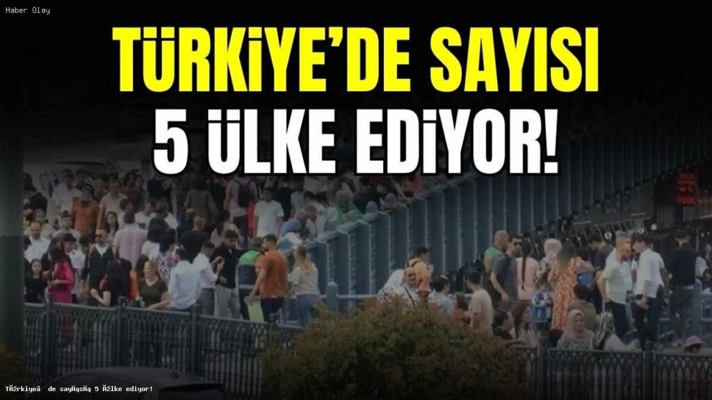 Türkiye’de Eğitim ve İstihdamda Kriz: 6,5 Milyon Genç Evde