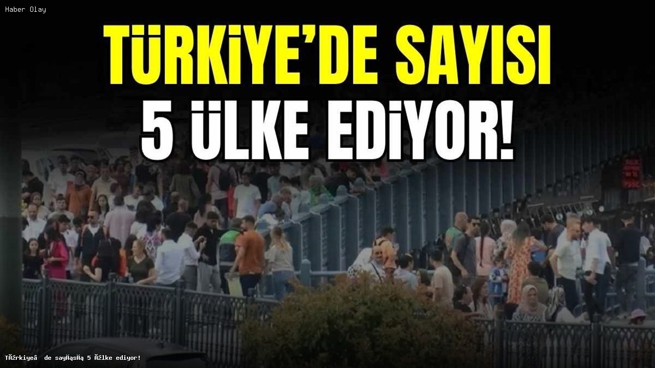 Türkiye’de Eğitim ve İstihdamda Kriz: 6,5 Milyon Genç Evde