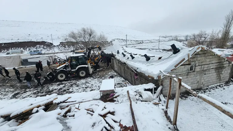 Tutak’ta Ahır Çökmesi: Hayvanlar Son Anda Kurtarıldı