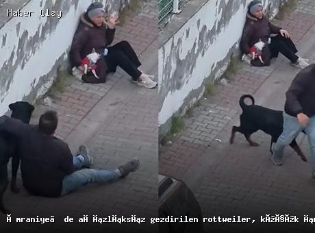 İstanbul’da Rottweiler köpeğin saldırısı: Olayın detayları