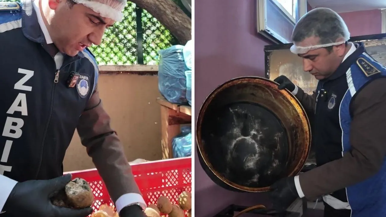 Hatay’da Zabıta Ekipleri Şok Oldu: Mide Bulandıran Görüntüler