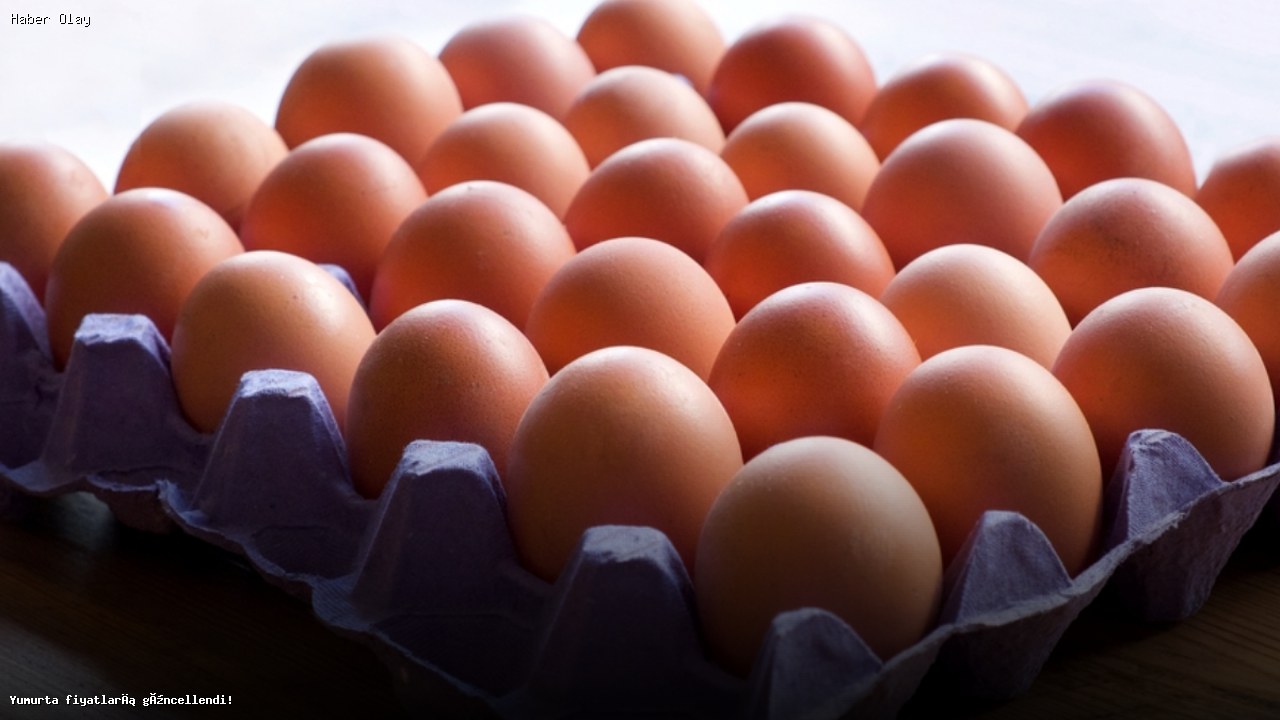 Yumurta fiyatları ne kadar oldu?