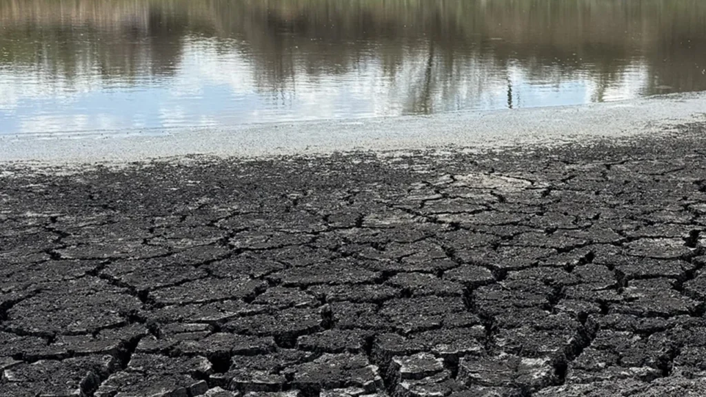 Türkiye’de Kuraklık Dönemi Sona Erdi: Yağışlar Su Kaynaklarını Canlandırdı