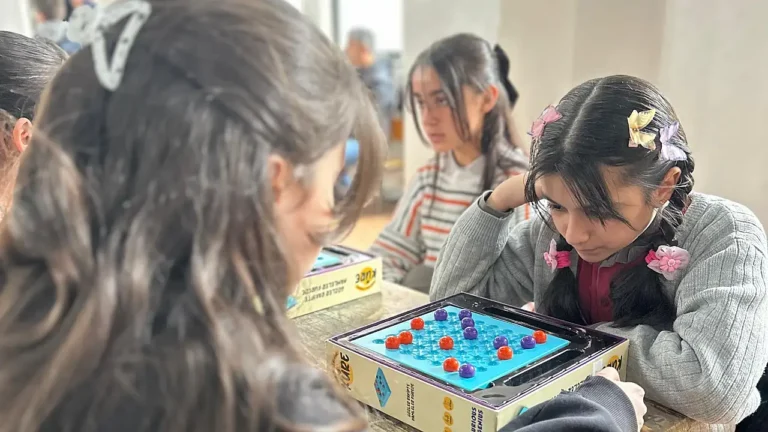 Doğubayazıt’ta Zeka ve Strateji Turnuvası Nedir?