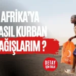 Kızılay Bağış Yöntemleri: Kolaylık ve Güvenle Destek Olun