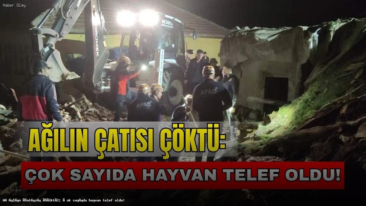 Sivas’ta Ağılda Çatı Çökmesi: 13 Hayvan Telef Oldu!