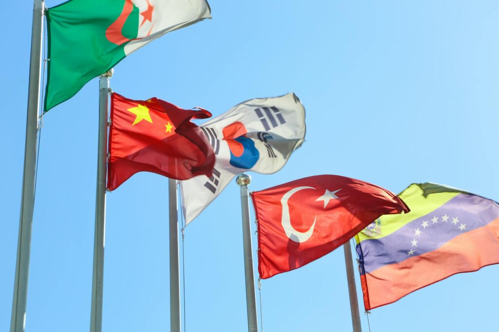 Agit Kabayel, dünya şampiyonasında nasıl bir performans sergiledi?