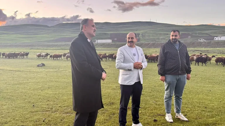 Ağrı Valisi Önder Bozkurt, Küçükbaş Hayvancılığı İnceledi