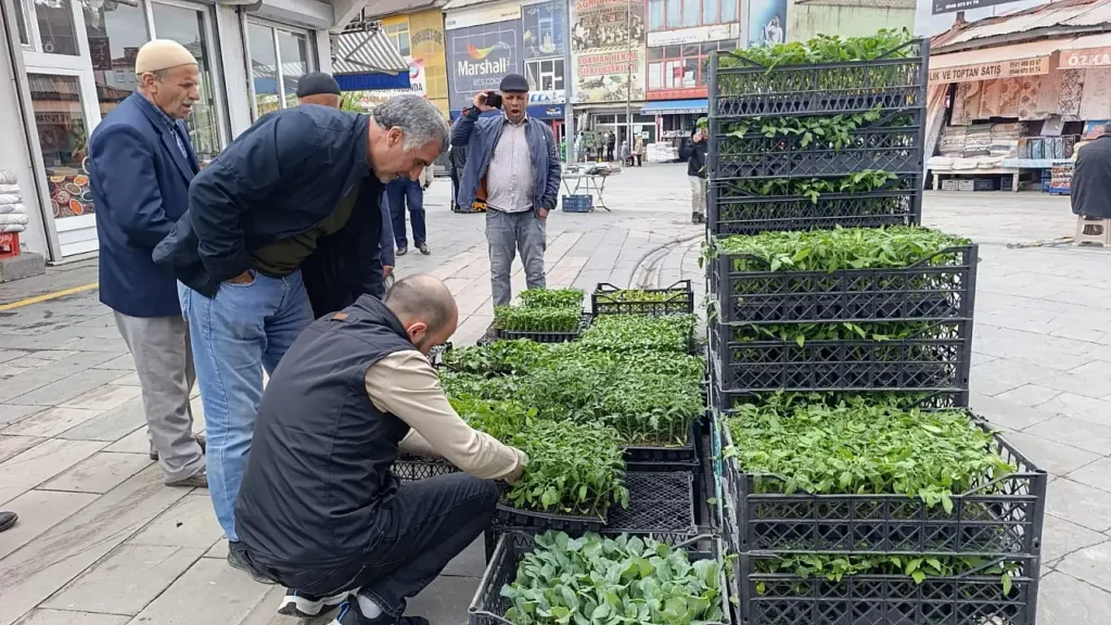 Ağrı’da Bahar Fide Sezonu: Tezgahlar Şenlendi