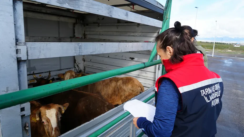 Erzurum’da Veterinerler 24 Saat Kesintisiz Görevde