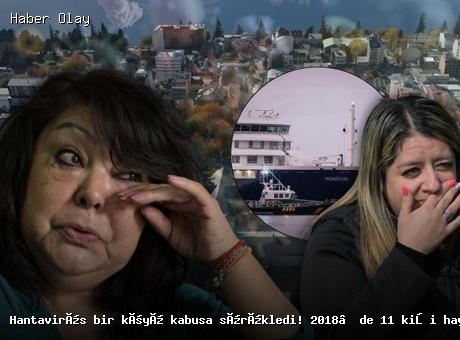 Hantavirüs Salgını Arjantin’de Yeniden Gündemde