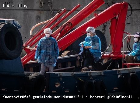 Hantavirüs vakalarıyla ilgili Tenerife’de tahliye operasyonu