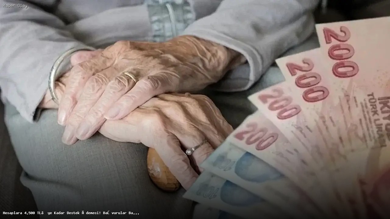 Dar Gelirliye 4.500 TL Destek Ödemesi Başvuruları Başladı