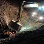 Iğdır’da Arı Saldırısı Sonucu Koyunlar Telef Oldu