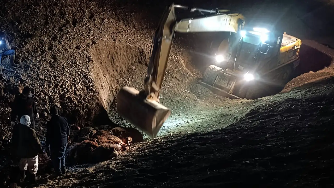 Iğdır’da Arı Saldırısı Sonucu Koyunlar Telef Oldu