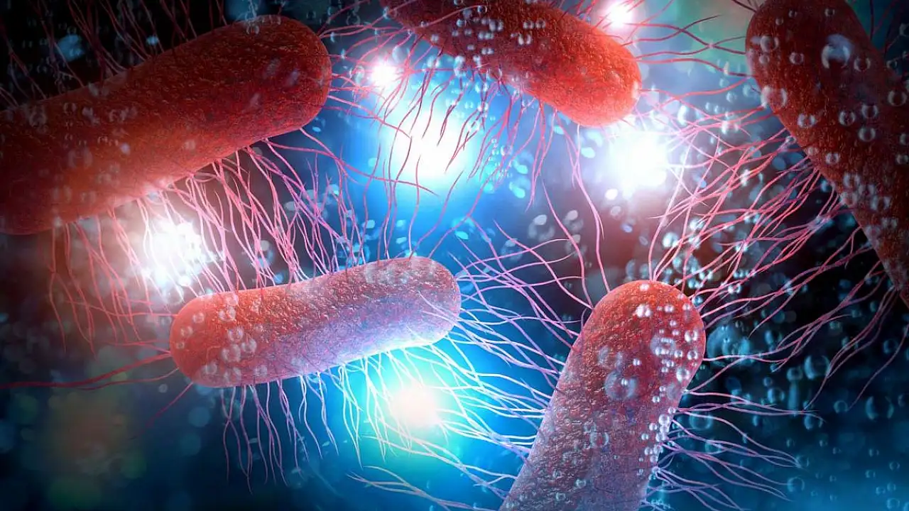 Işık saçan bakterilerle hızlı tanı: Doğru antibiyotik dakikalar içinde belirleniyor