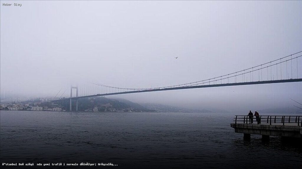 İstanbul Boğazı’nda gemi trafiği normale dönüyor: Arızalı gemi demirletildi