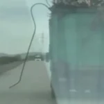 İzmir’de Trafik Güvenliğini Tehdit Eden Kamyon Skandalı