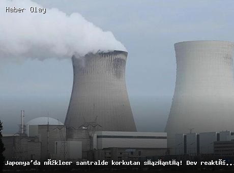 Japonya’da nükleer santralde buhar kaçağı tespit edildi