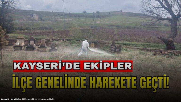 Kayseri’de Tomarza Belediyesi’nden Yol ve İlaçlama Çalışmaları