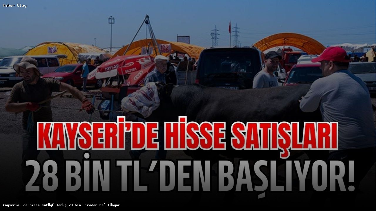 Kayseri’de Kurban Hisse Fiyatları Nedir ve Nasıl Alınır?