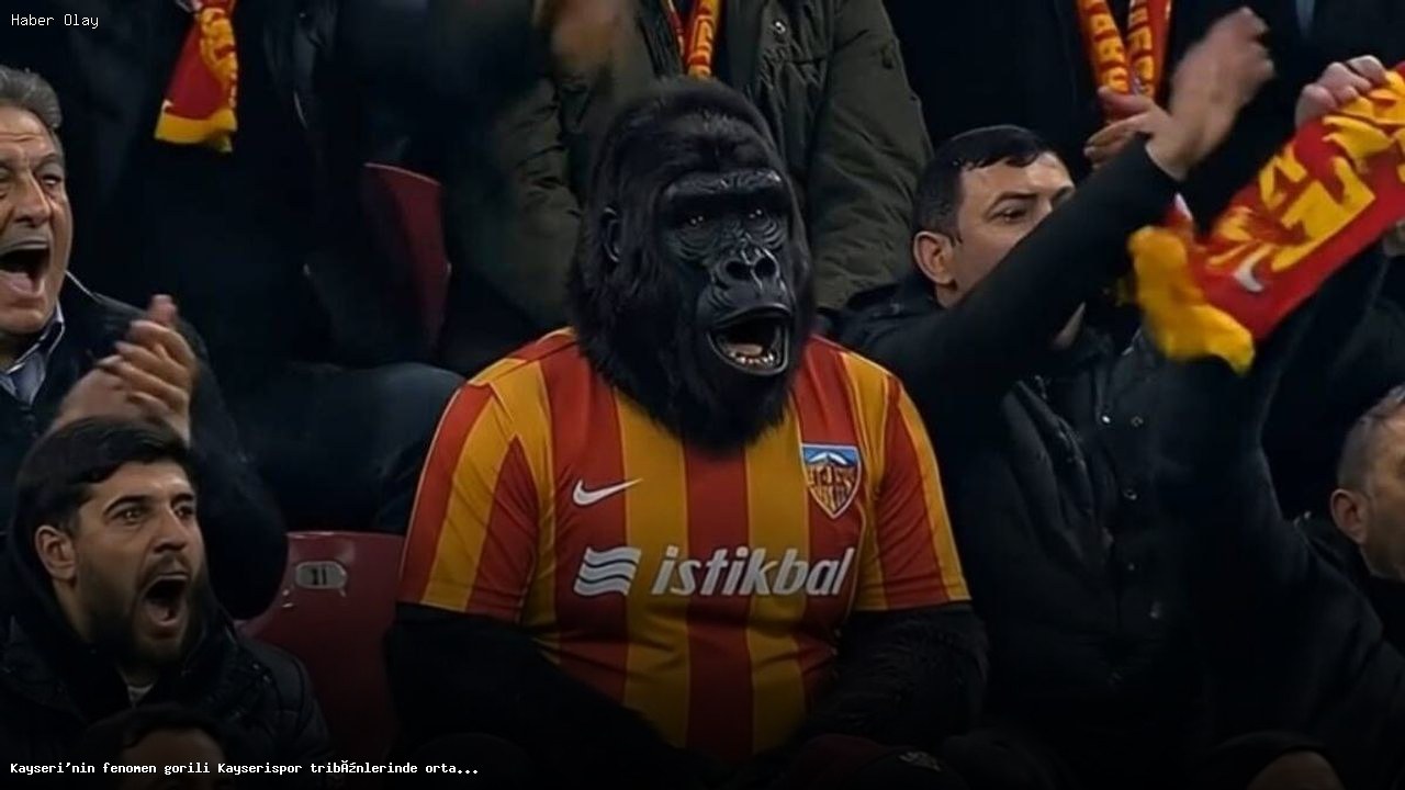 Kayserispor Tribünlerinde Kayserili Goril Neden Gündem Oldu?