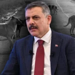 Sokak Hayvanları Sorunu Nasıl Çözülüyor?