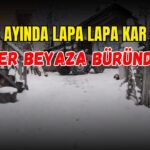Sivas’ta Mayıs Ayında Yağan Kar Neden Şaşırttı?