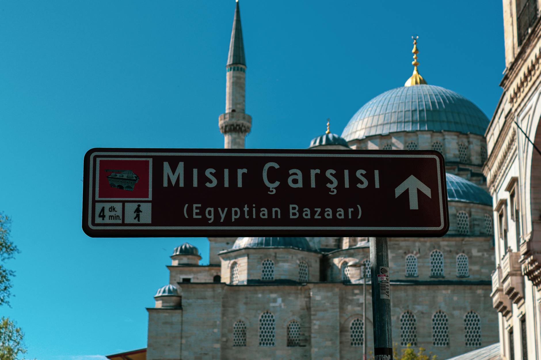 Mısır’ın Geleceği: Tarımda Devrim mi Geliyor?
