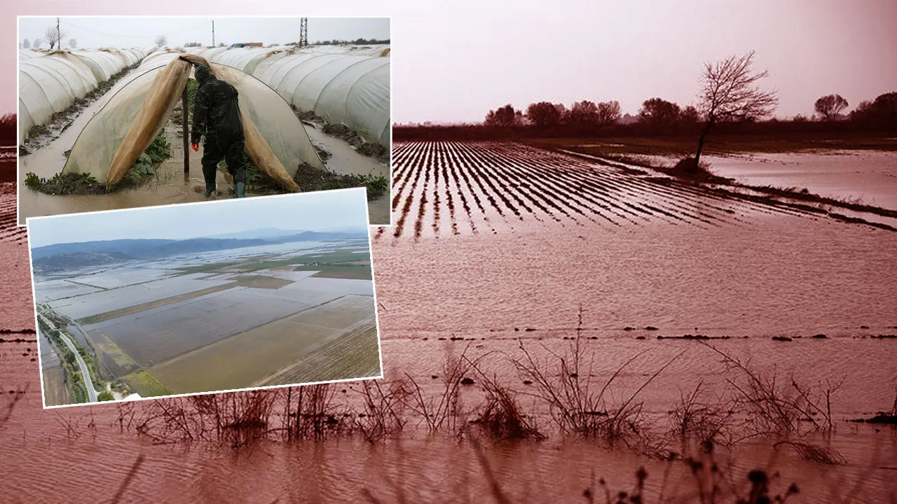 PİYASALARDA EL NİNO PANİĞİ