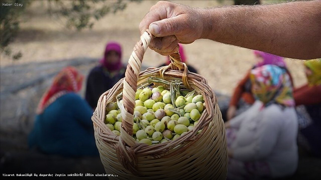 Zeytin Sektörü için Uluslararası Çalıştay Ne Zaman Yapılacak?