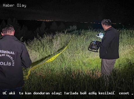 Uşak’ta tarla içinde boğazı kesilmiş ceset bulundu