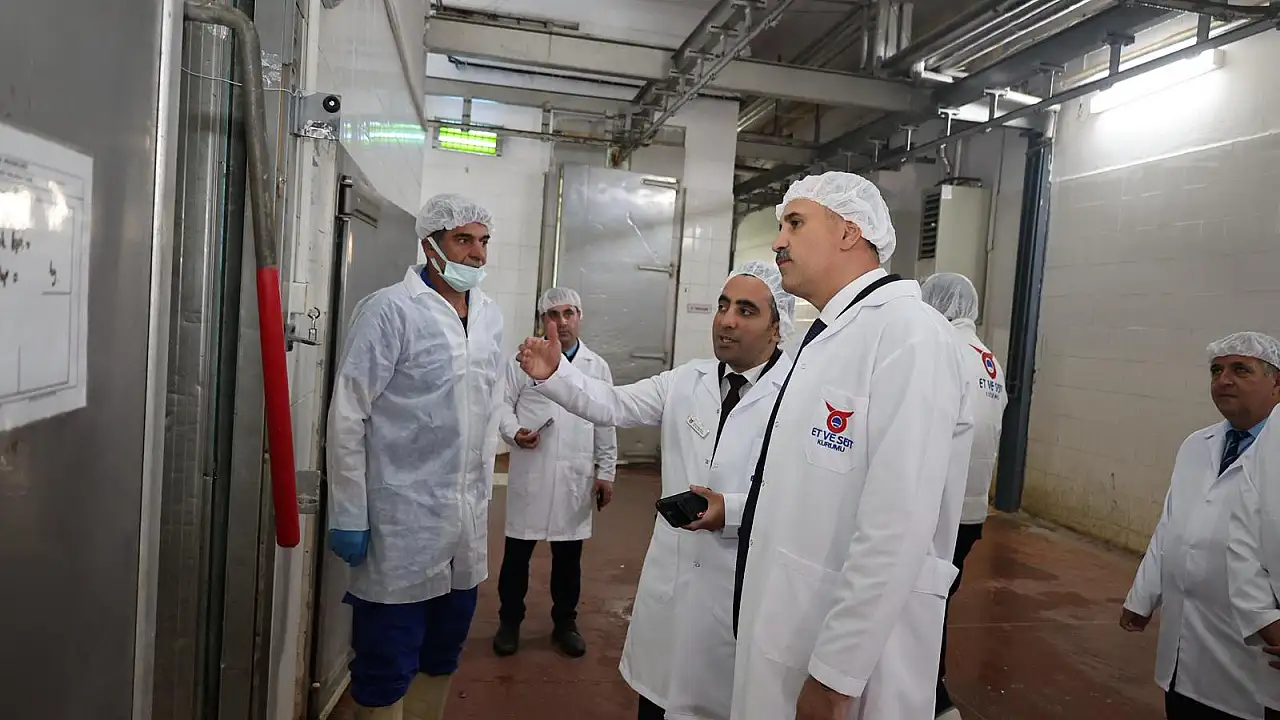 Ağrı Valisi Bozkurt, Hayvancılık Sektörünü İnceledi