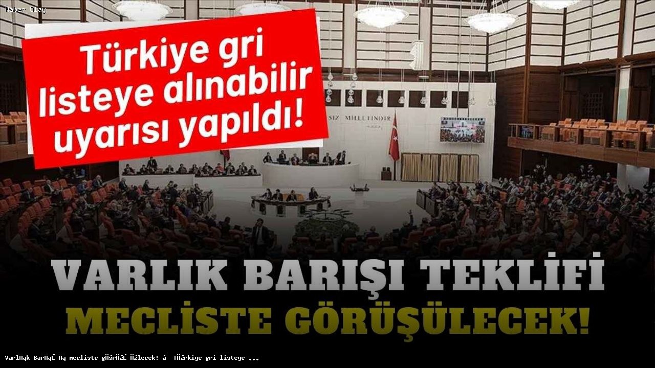 Varlık Barışı Meclis’te Görüşülecek: Türkiye Gri Listeye Alınabilir Mi?