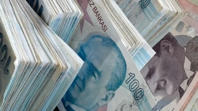 Vatandaşlık Maaşı 2026’da Başlıyor: Kimler Yararlanacak?