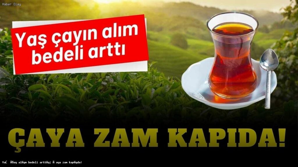 Yaş Çay Fiyatı Arttı: Çaya Yeni Zam Geliyor Mu?