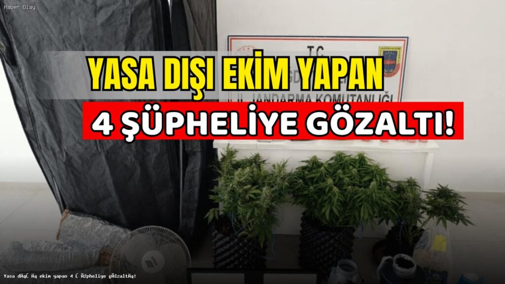 Niğde’de Yasa Dışı Kenevir Üretimi: 4 Gözaltı